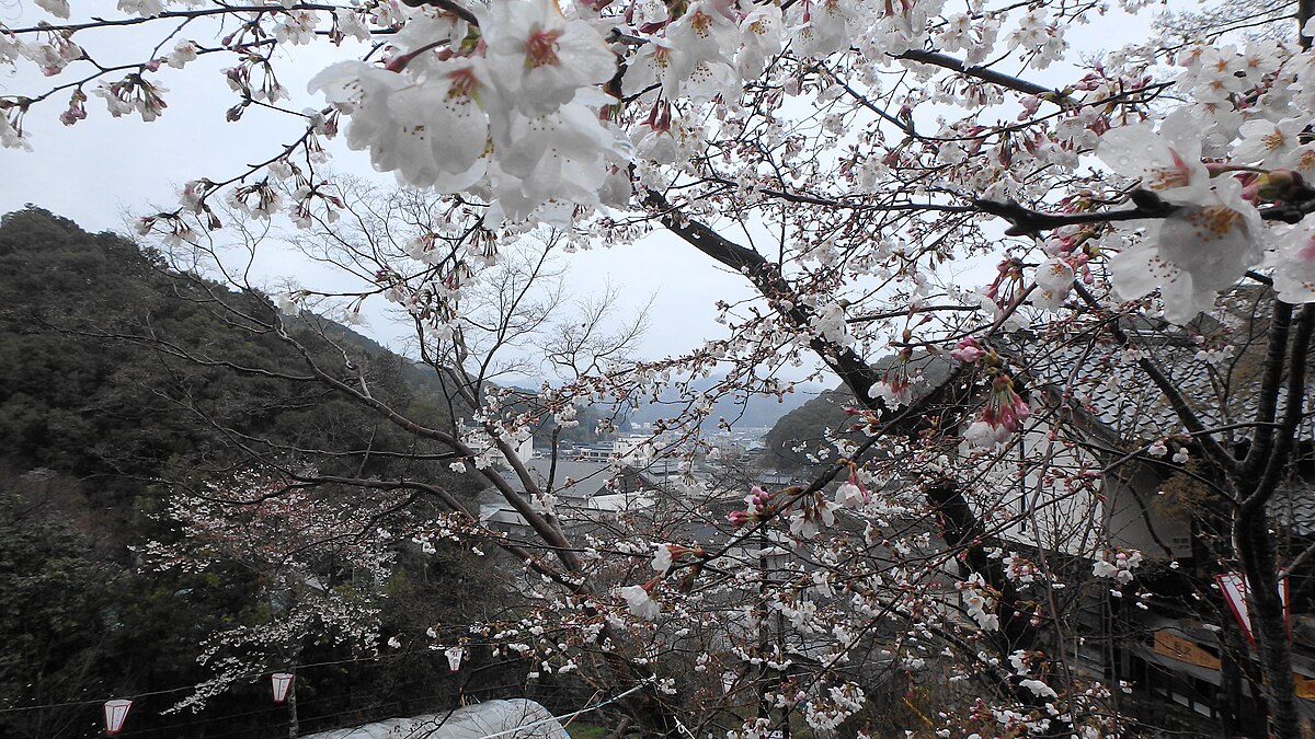 Sakawa