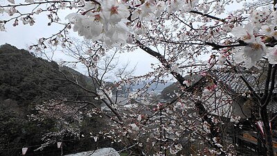 佐川町