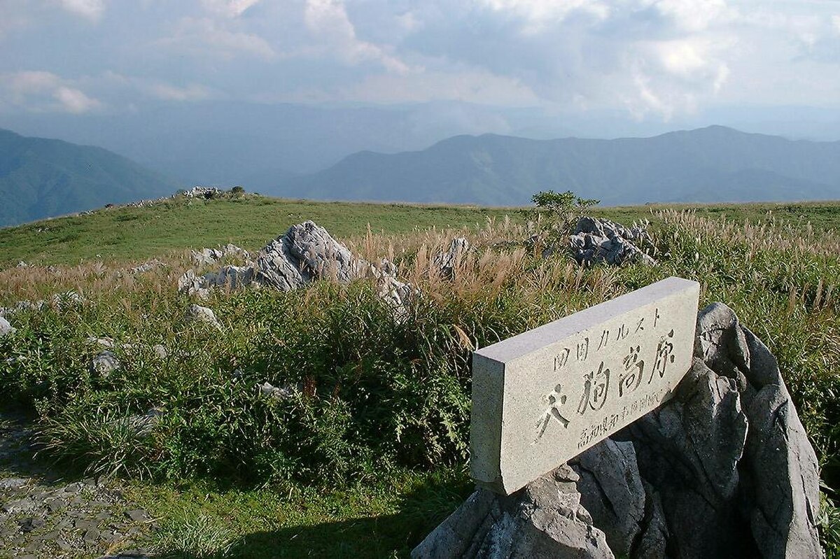 津野町