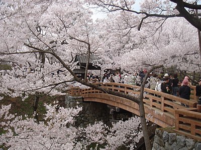 Takatō Castle