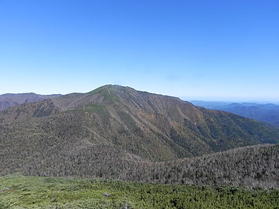 武利岳