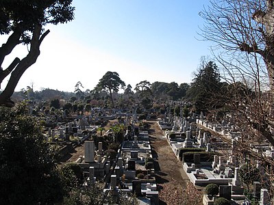 多磨霊園