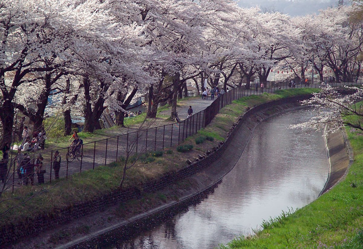 Tamagawa Aqueduct