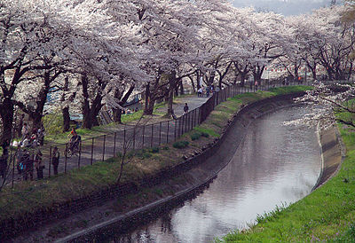 Tamagawa Aqueduct