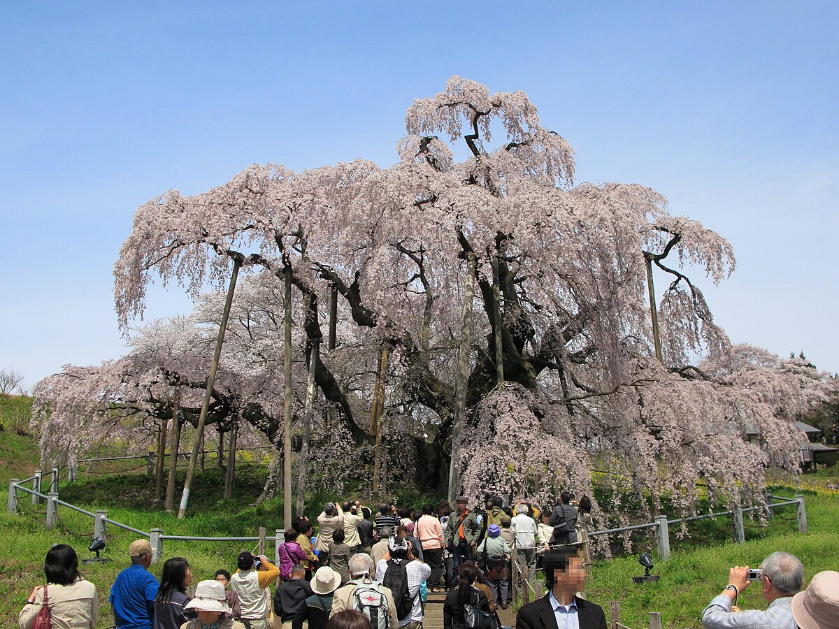三春町
