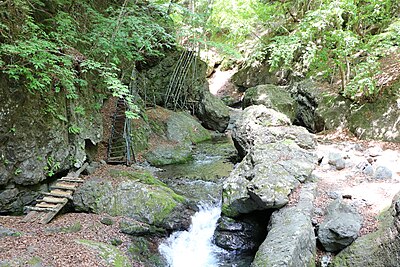 上野村