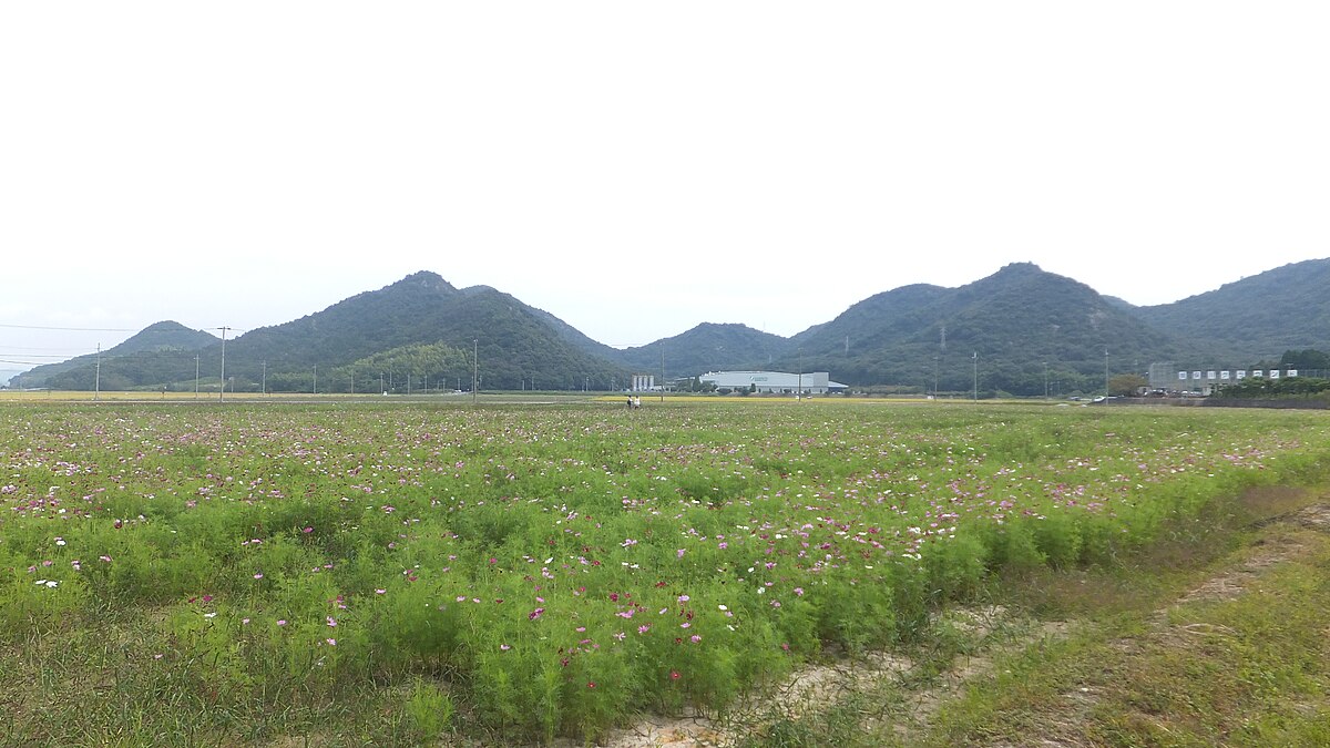 たつの市