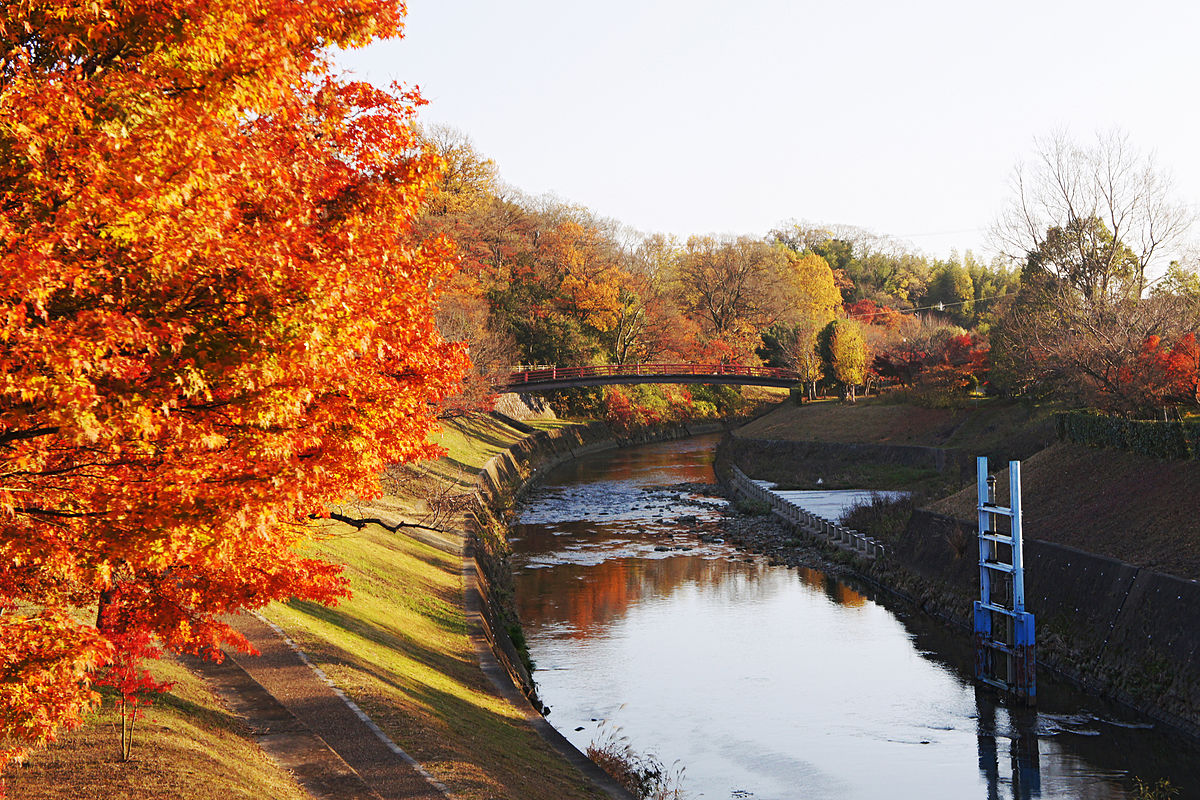Tatsuta River