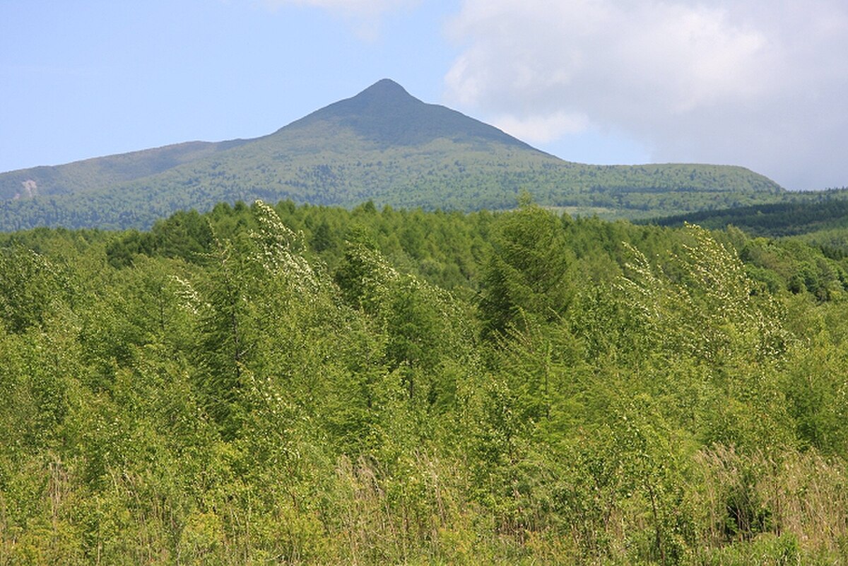 徳舜瞥山