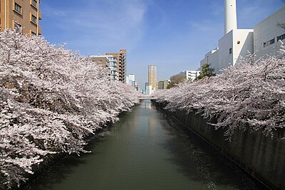 目黒区