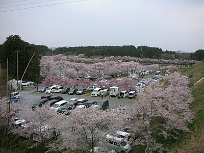 登米市