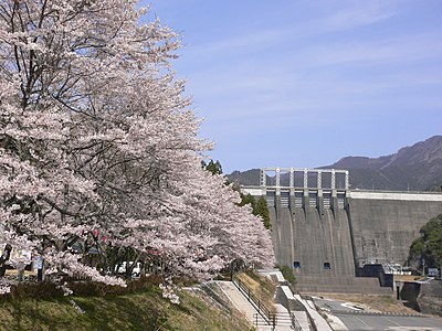 Tosa Town