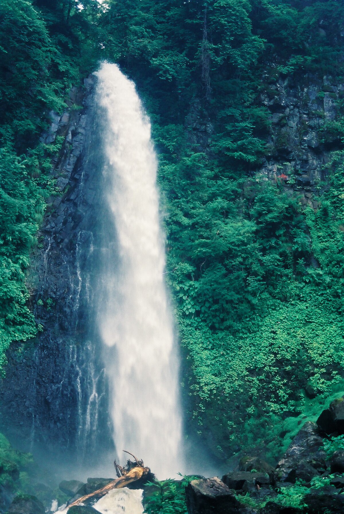 Tottori