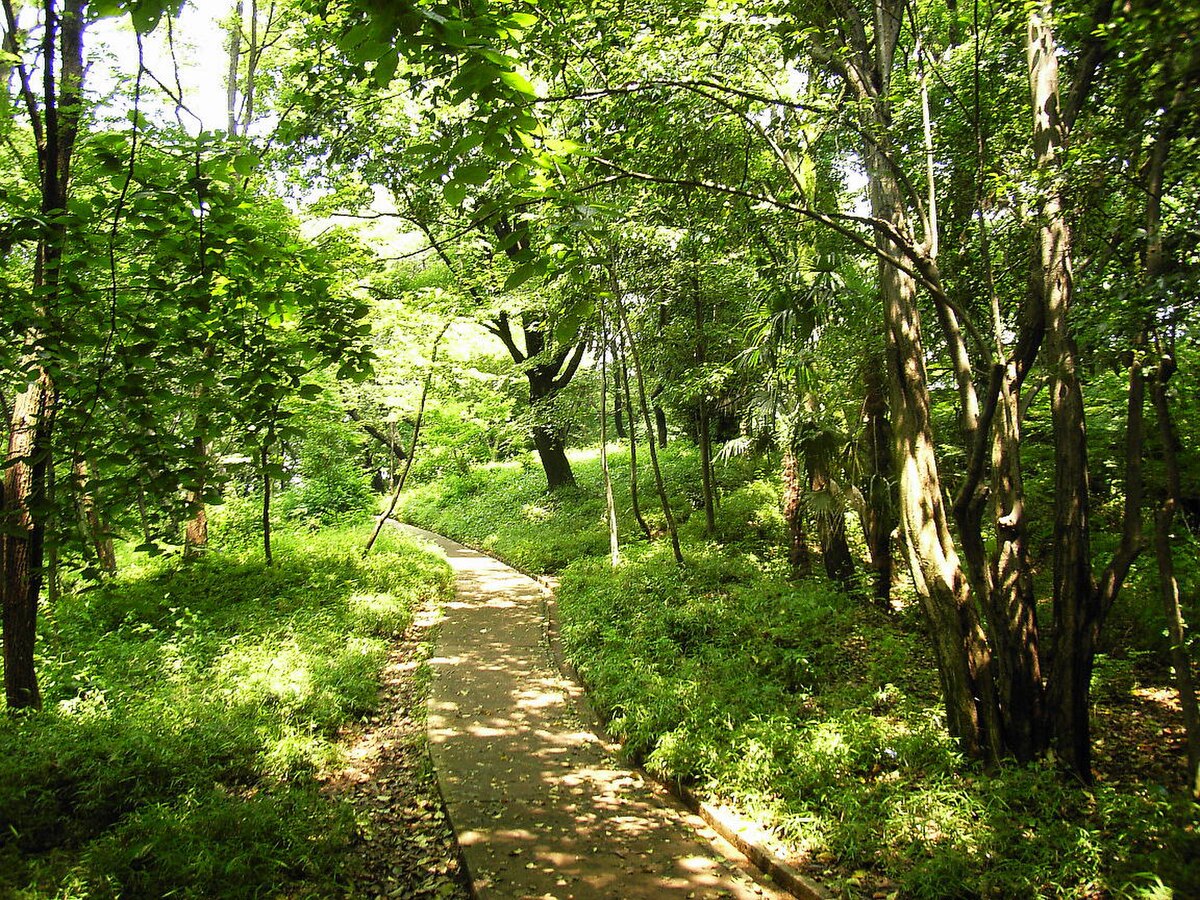 戸山公園