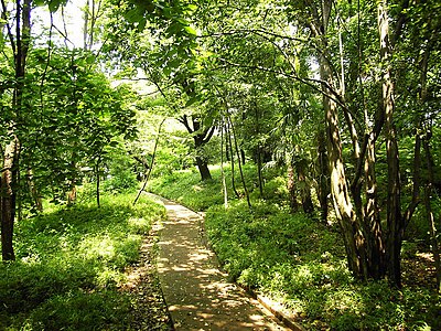 戸山公園