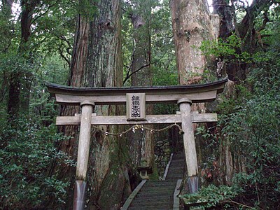 継桜王子