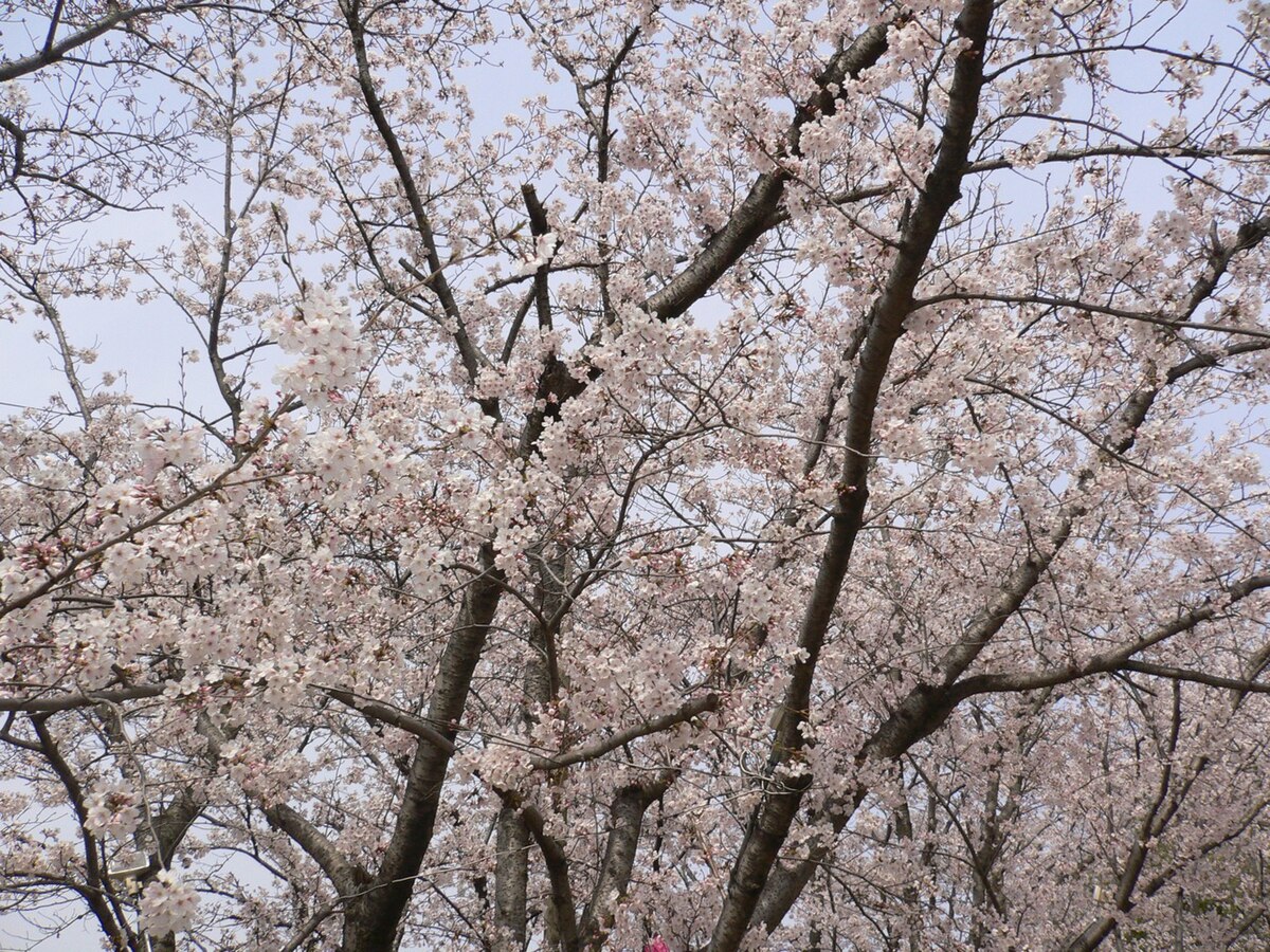 早島町