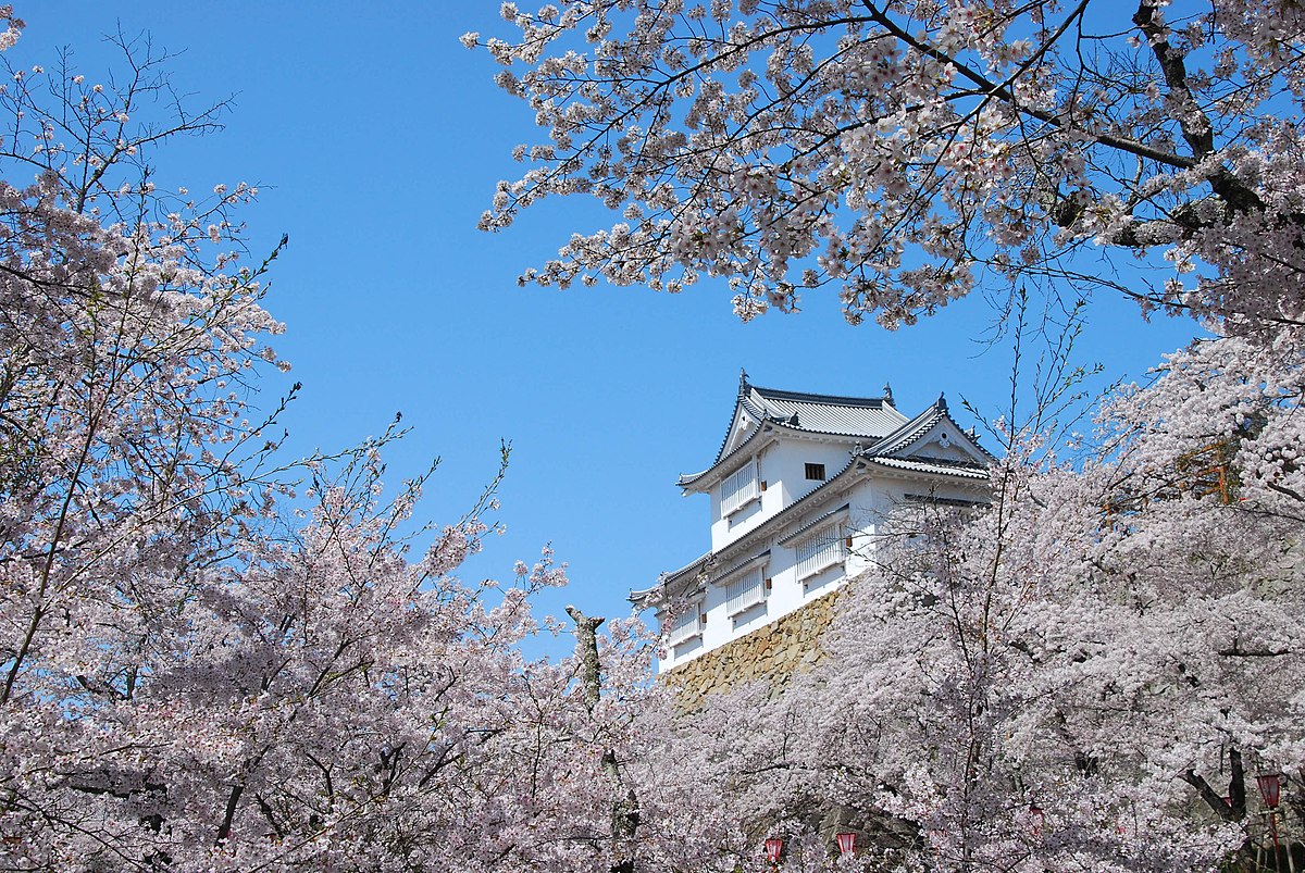 津山市