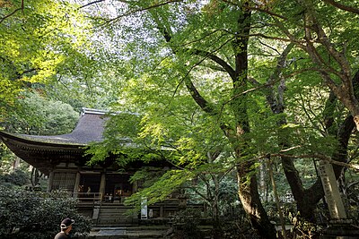 宇陀市