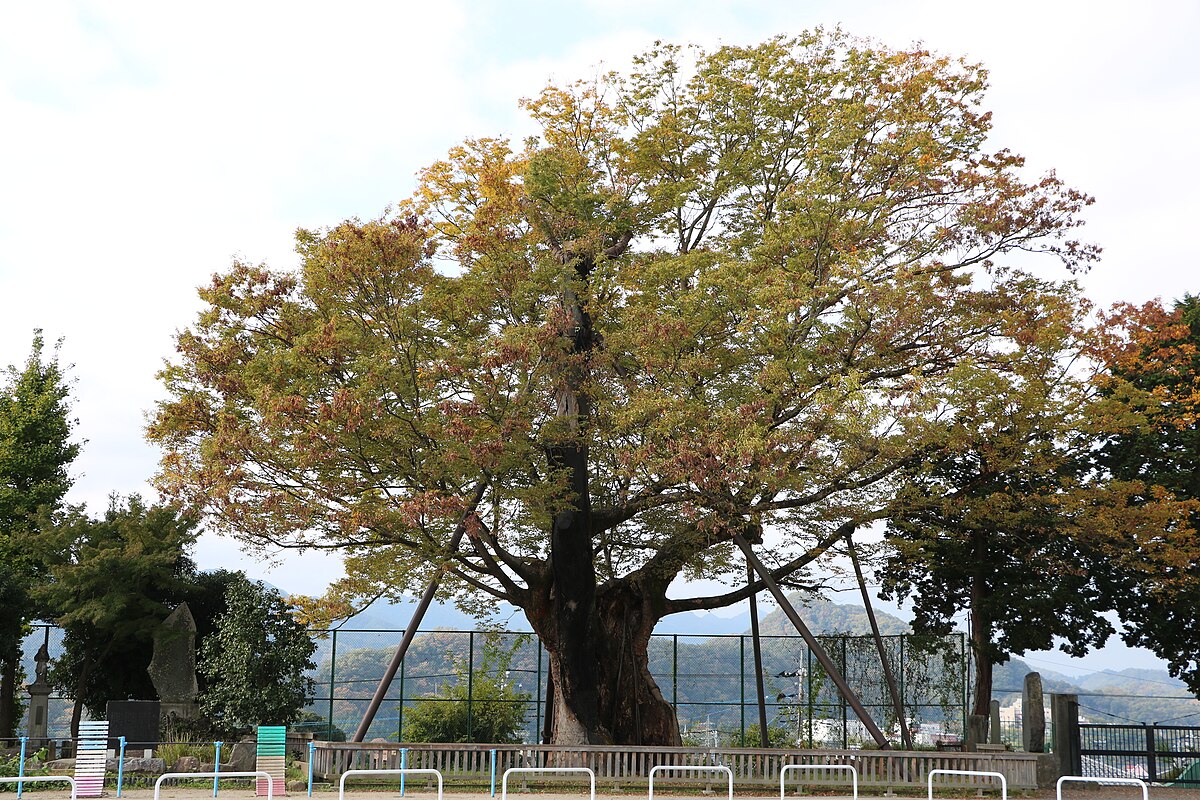 Uenohara