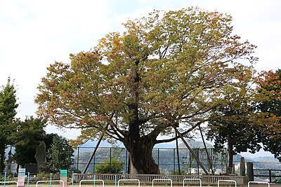上野原市