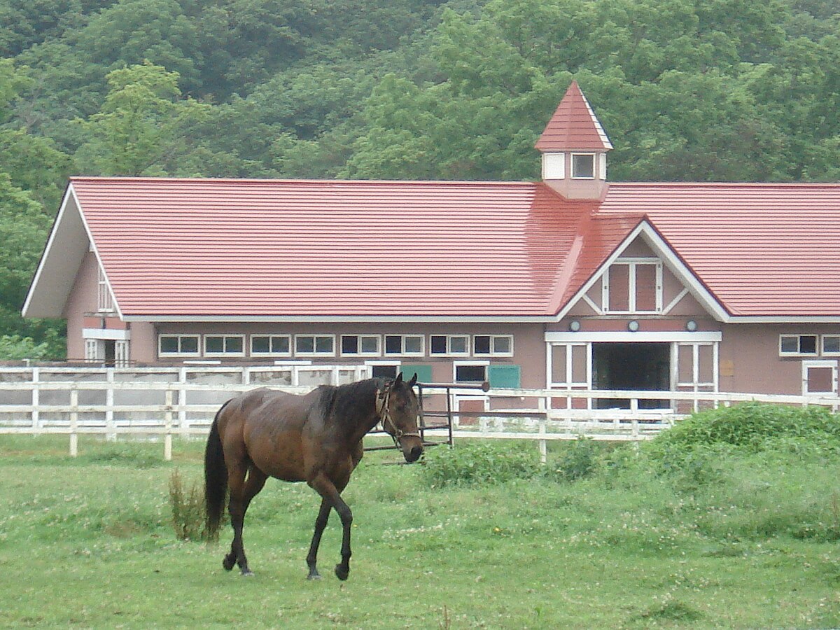 浦河町