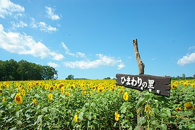 北竜町