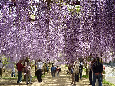 和気町
