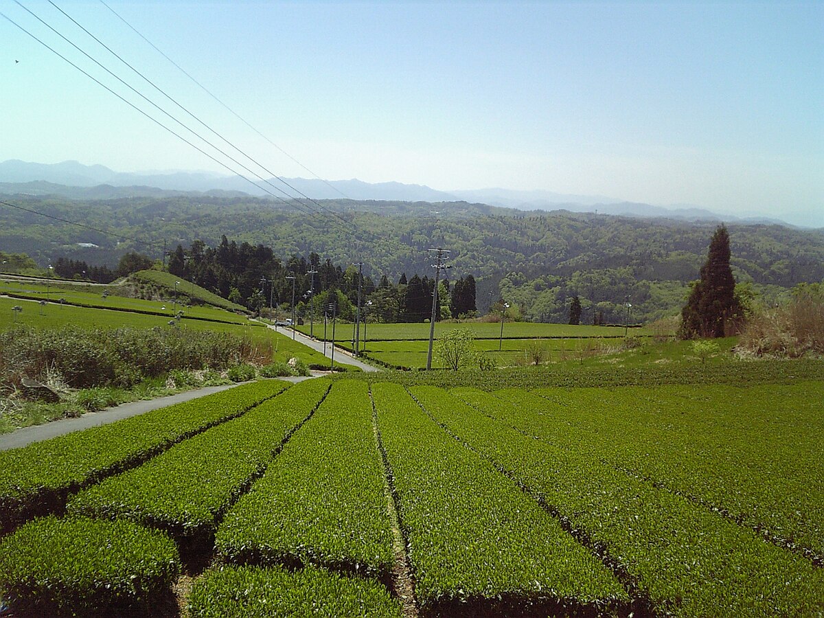 山添村