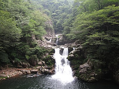 Akiota