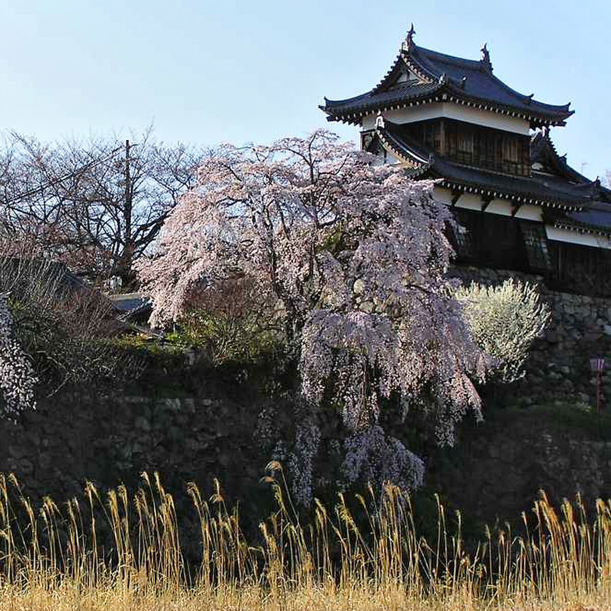 大和郡山市