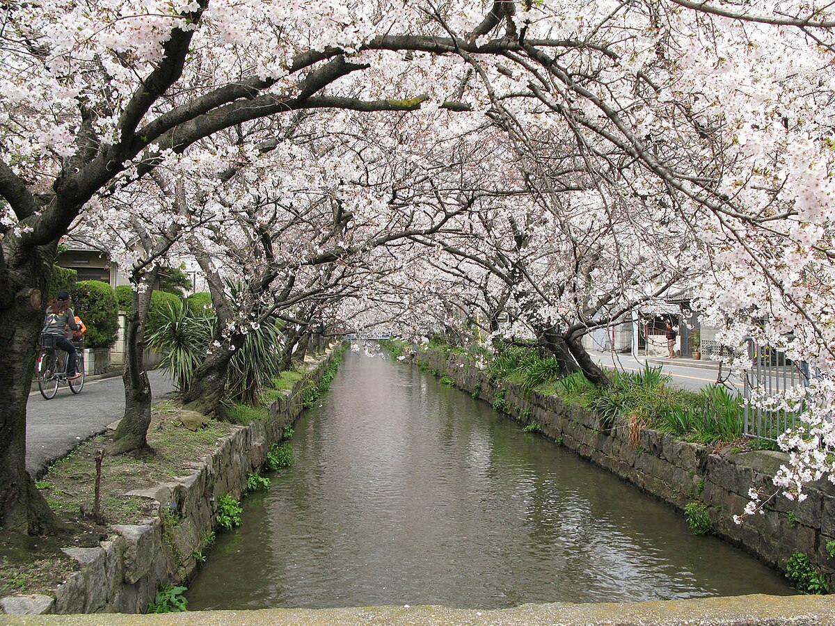 八尾市