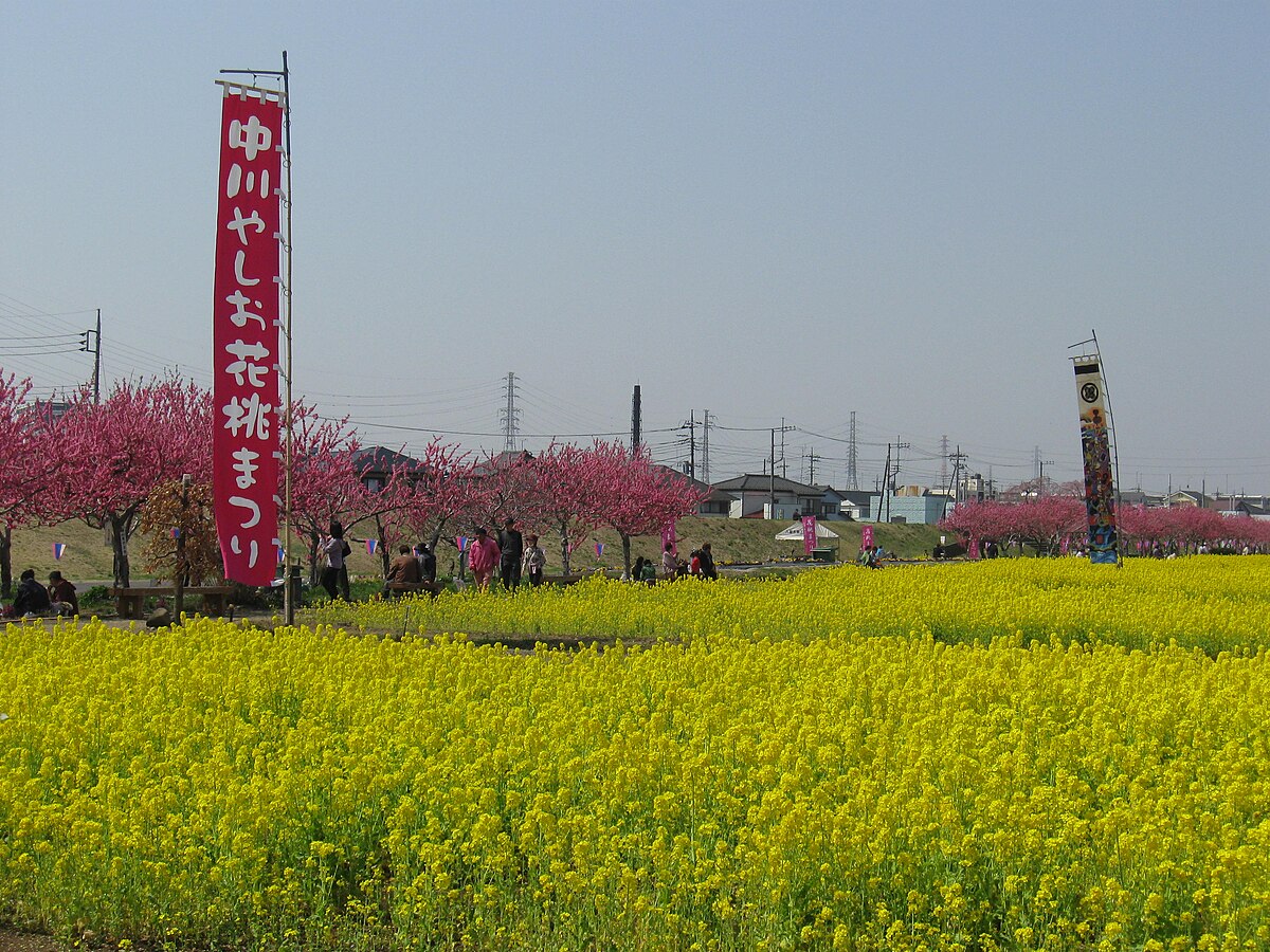 八潮市