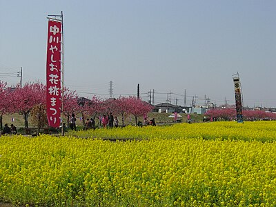 Yashio