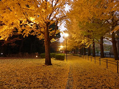 横浜市保土ケ谷区