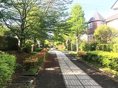 横浜市泉区
