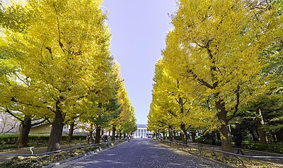 Kohoku Ward, Yokohama