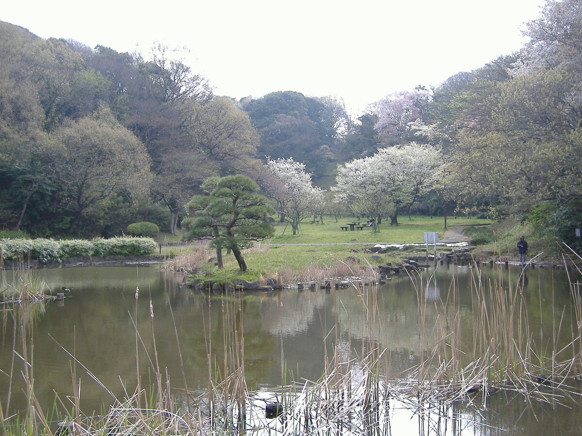 横浜市港南区