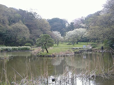 Konan Ward, Yokohama