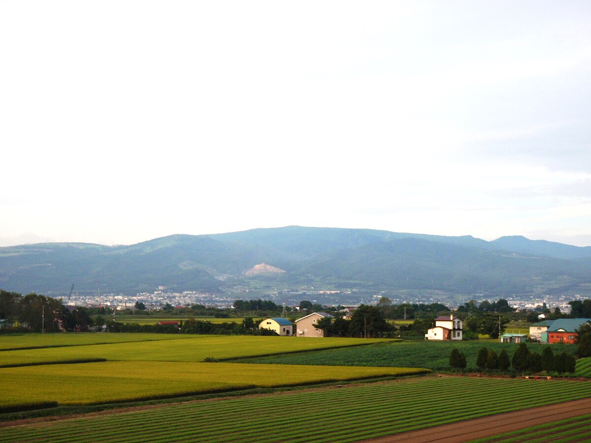 Yokotsu take