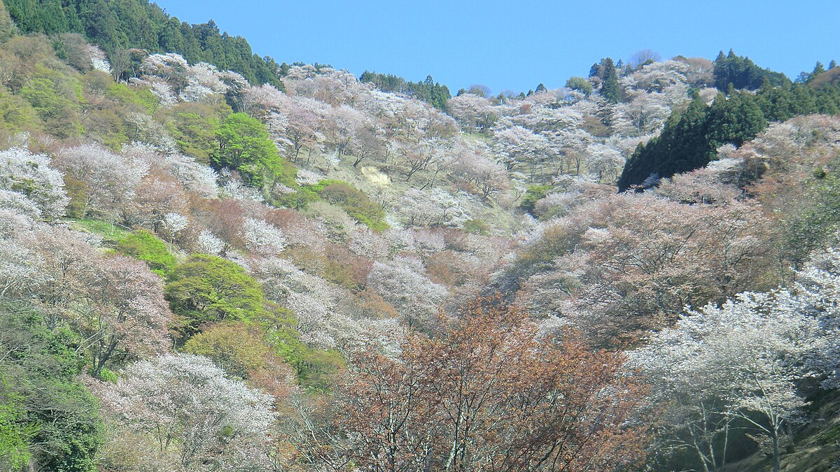 吉野町