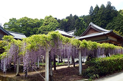 吉野川市