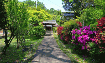 Zentoku-ji Temple