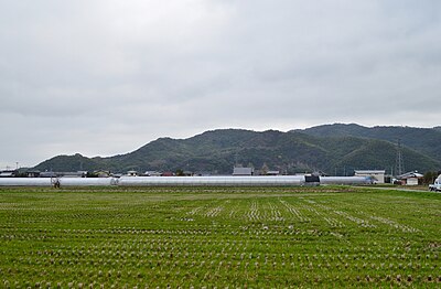 女山神籠石