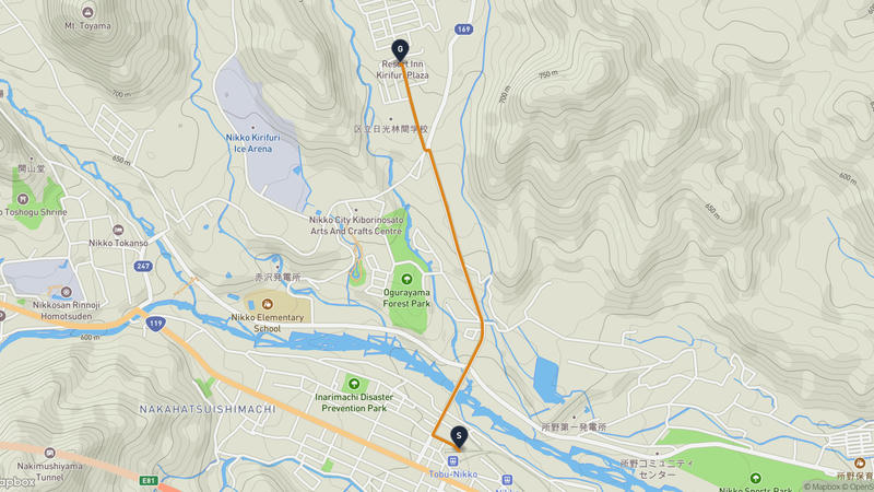 Shrines and Temples of Nikkō to Rinnō-ji Temple Drive