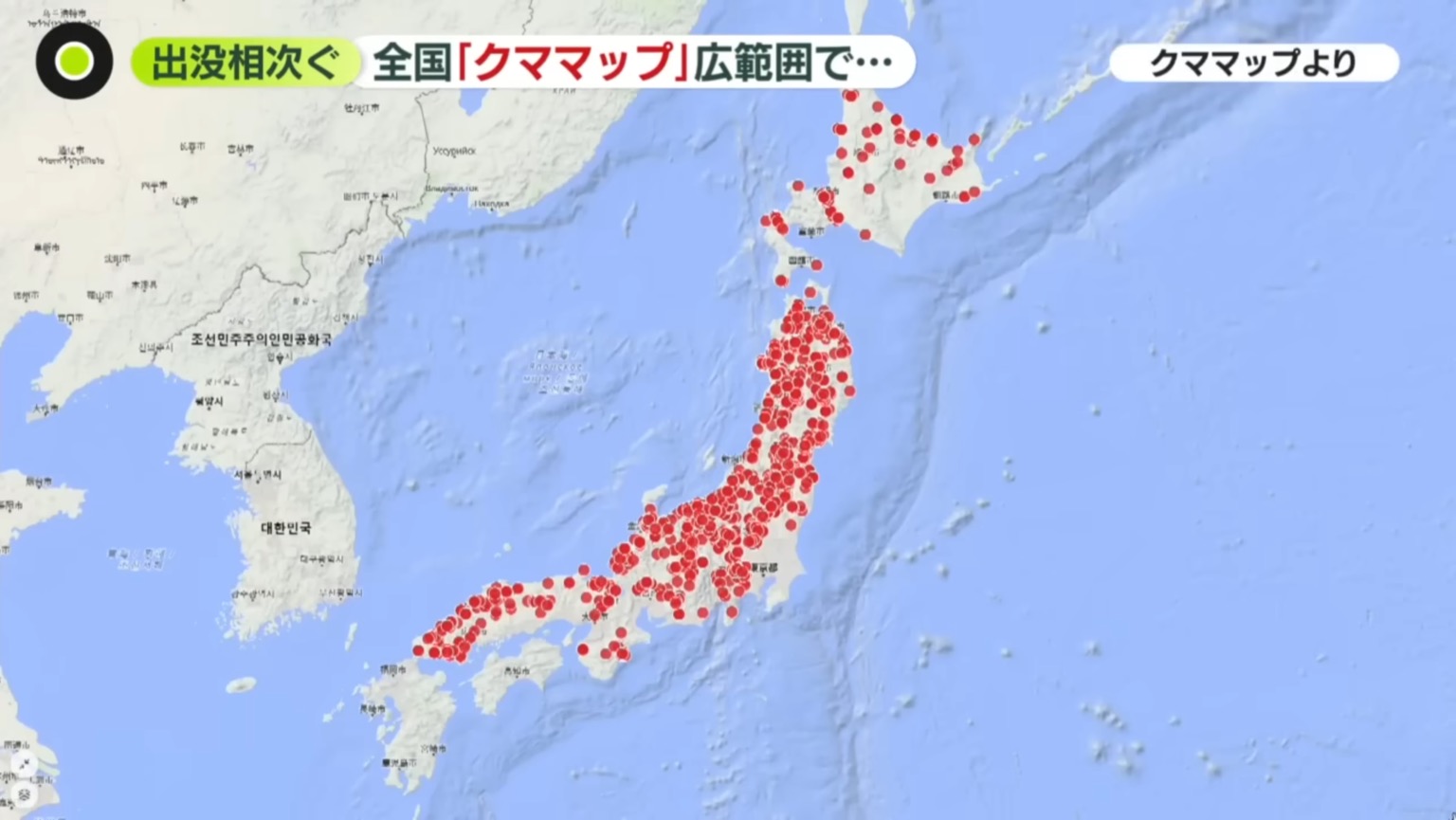 Kumamap登上NTV news zero：八王子与2026年5月日本熊出没数据- Kumamap