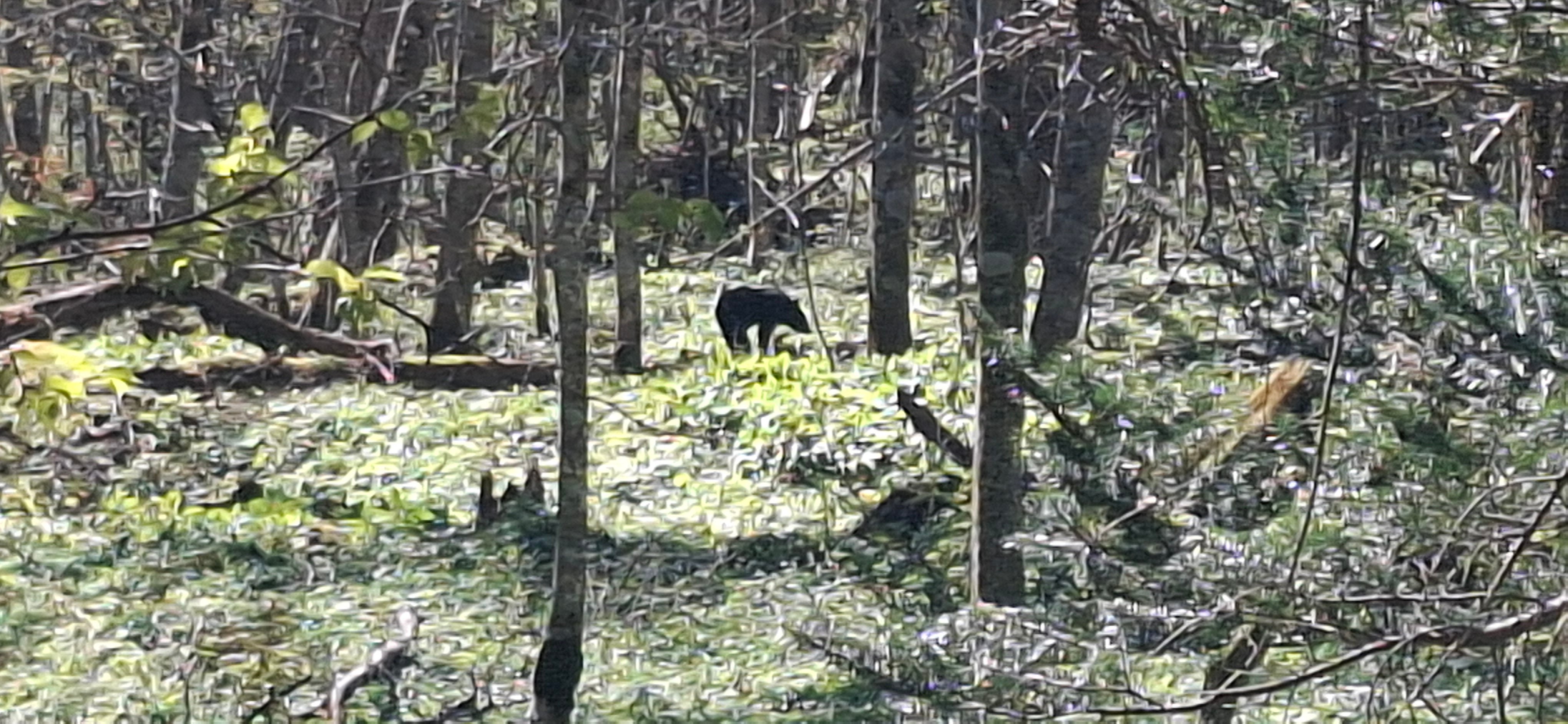 Incident photo 1