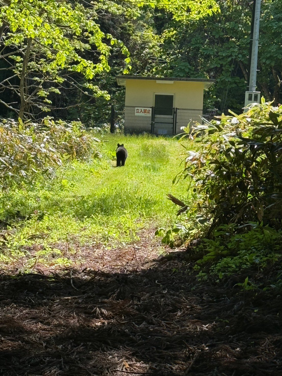 Incident photo 1