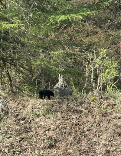 長野県白馬村