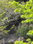 恵那市, 岐阜県